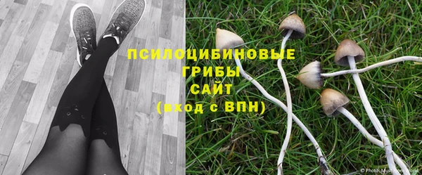 спайс Алзамай