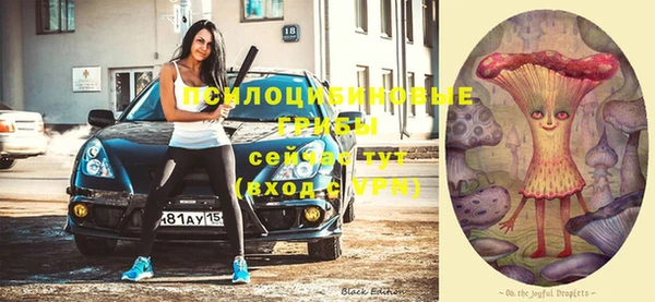 спайс Алзамай