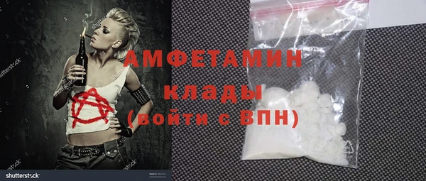 молекула духа Новозыбков